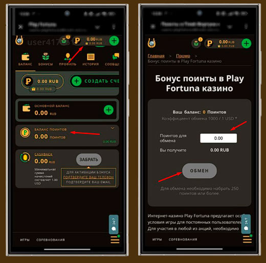 Обмен поинтов на деньги